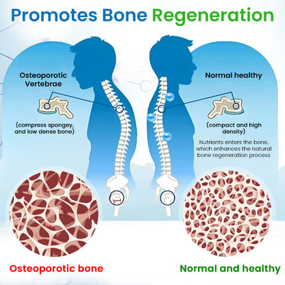 AEXZR™ Bone Regeneration Essence - 👨‍⚕️ Recommended by Orthopedic Specialist!